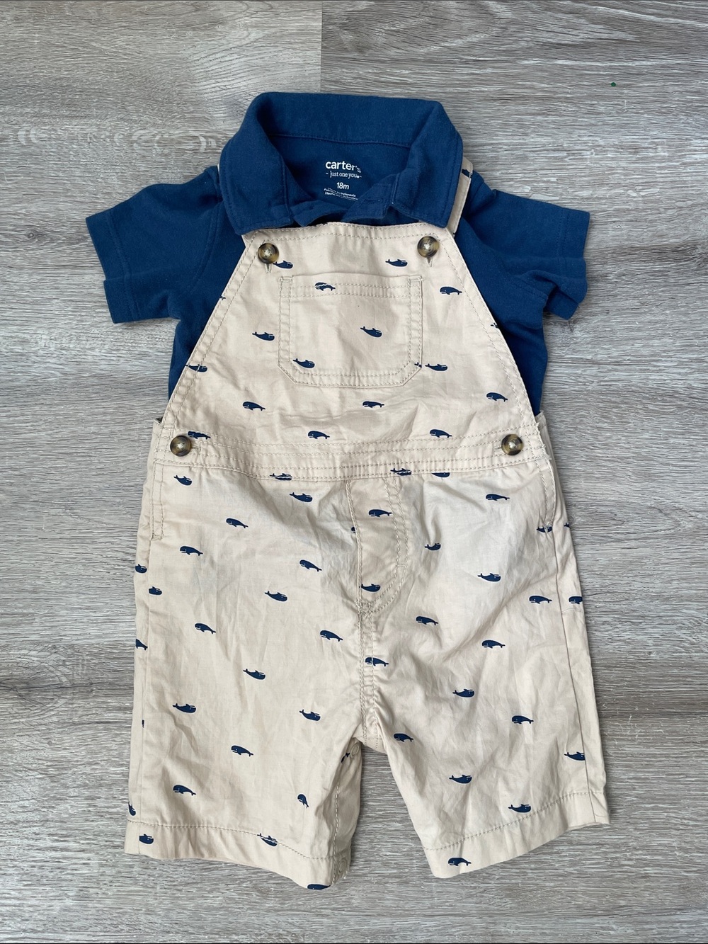 Carter’s 18 months set polo and overalls